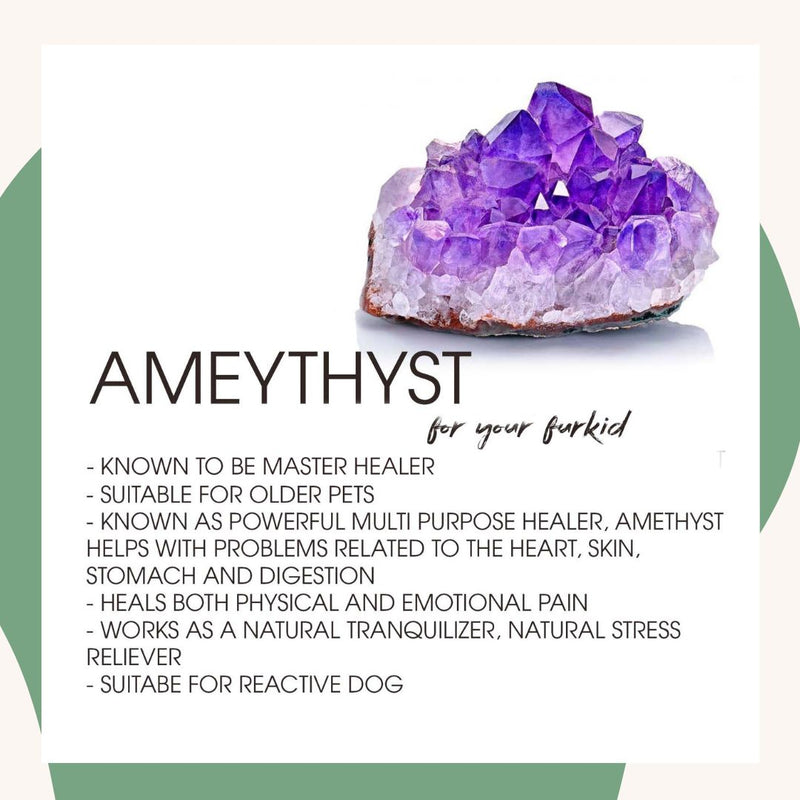 Gentle Geodes - Amethyst