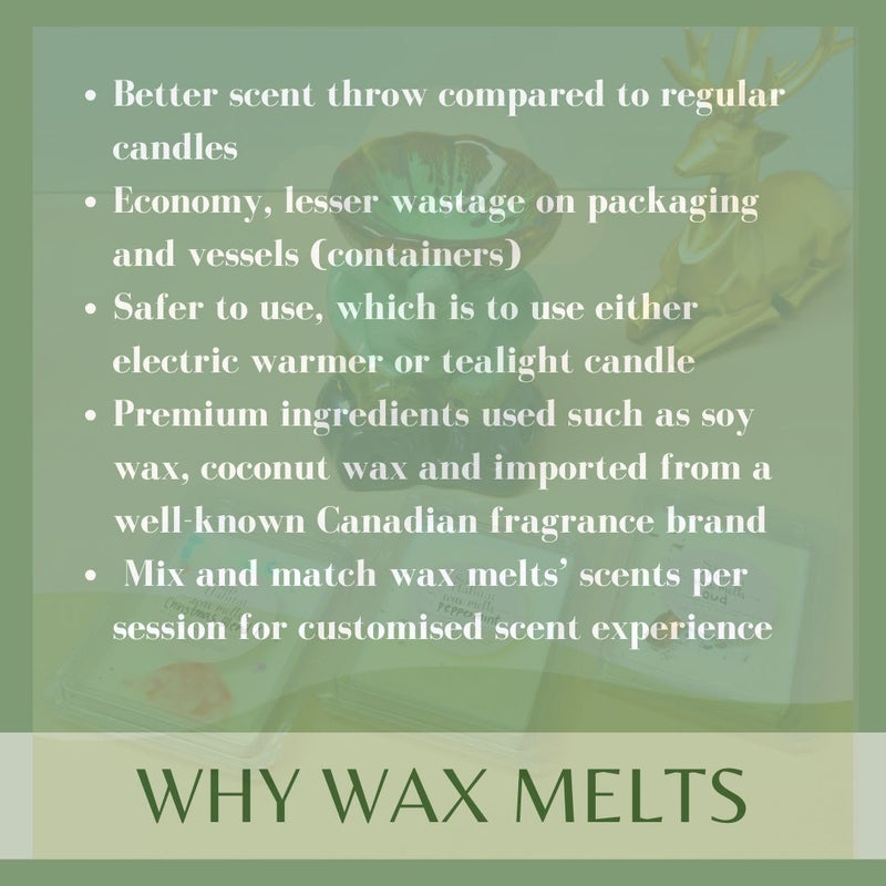 Bundles of 3 - Premium Soy Wax Melts (ONLY, w/o Warmer)